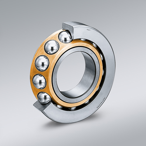 Rolling elements bearings